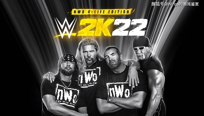 WWE2k20手游免费下载方法及注意事项-第3张图片-www.211178.com_果博福布斯