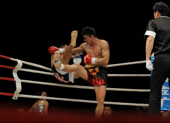 2013中国功夫vs泰拳 中国功夫与泰拳对决的精彩瞬间-第3张图片-www.211178.com_果博福布斯