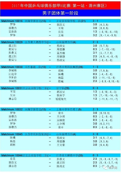 2017全国乒乓球甲B联赛补充资料大介绍