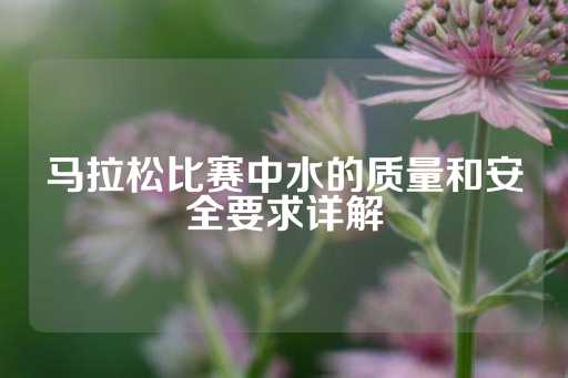 马拉松比赛中水的质量和安全要求详解