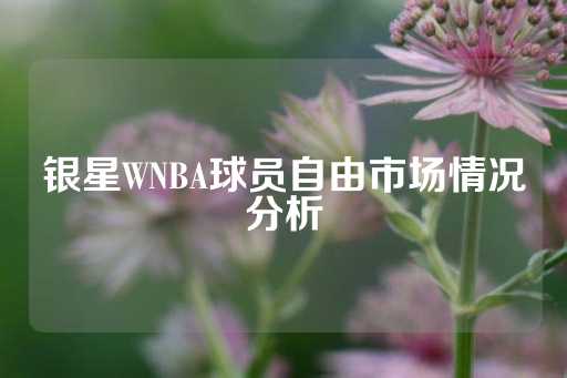 银星WNBA球员自由市场情况分析