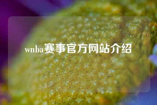 wnba赛事官方网站介绍