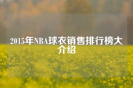 2015年NBA球衣销售排行榜大介绍