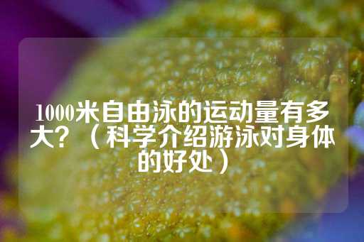 1000米自由泳的运动量有多大？（科学介绍游泳对身体的好处）