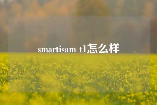 smartisam t1怎么样