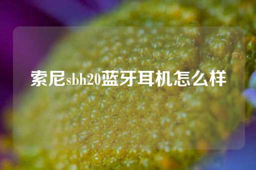 索尼sbh20蓝牙耳机怎么样