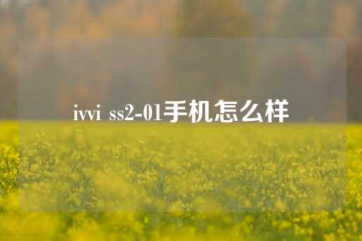 ivvi ss2-01手机怎么样